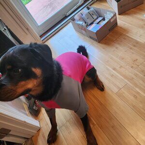 Pink and Gray Dog Shirt